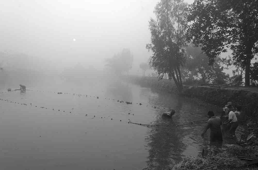 迷雾笼罩的印度小渔村 以渔为生的日常“耕作”