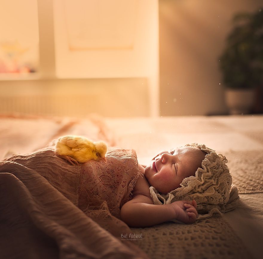 柔美光线营造绝佳氛围 宛若天使般的婴儿摄影