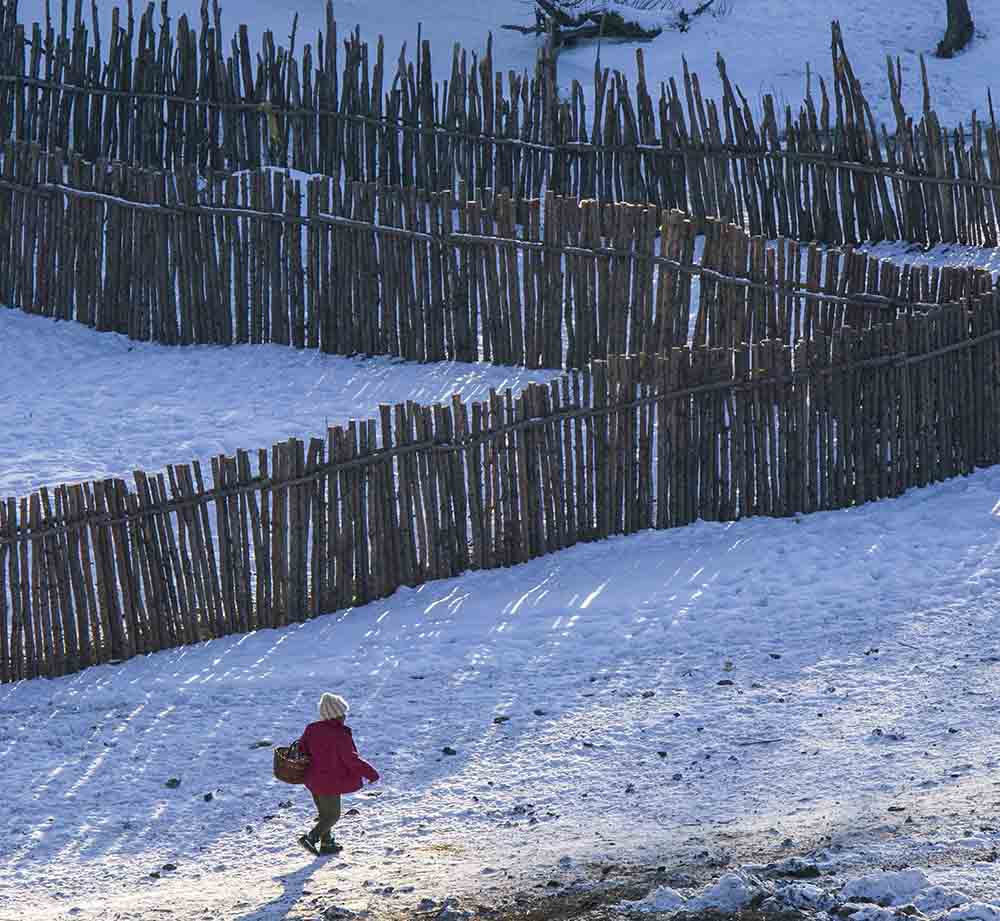 内蒙坝上乌兰布统冬季雪景
