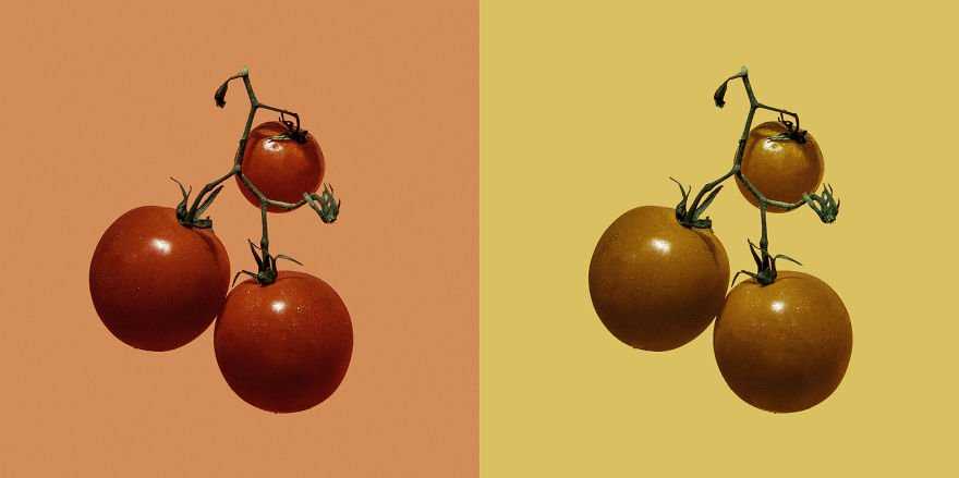 色彩的强烈碰撞 拍摄创意视觉系食物大片