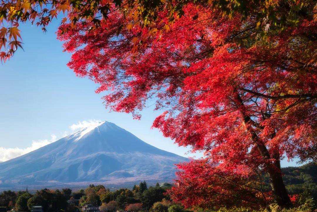 怀着执念与期待  一生只为富士山拍照