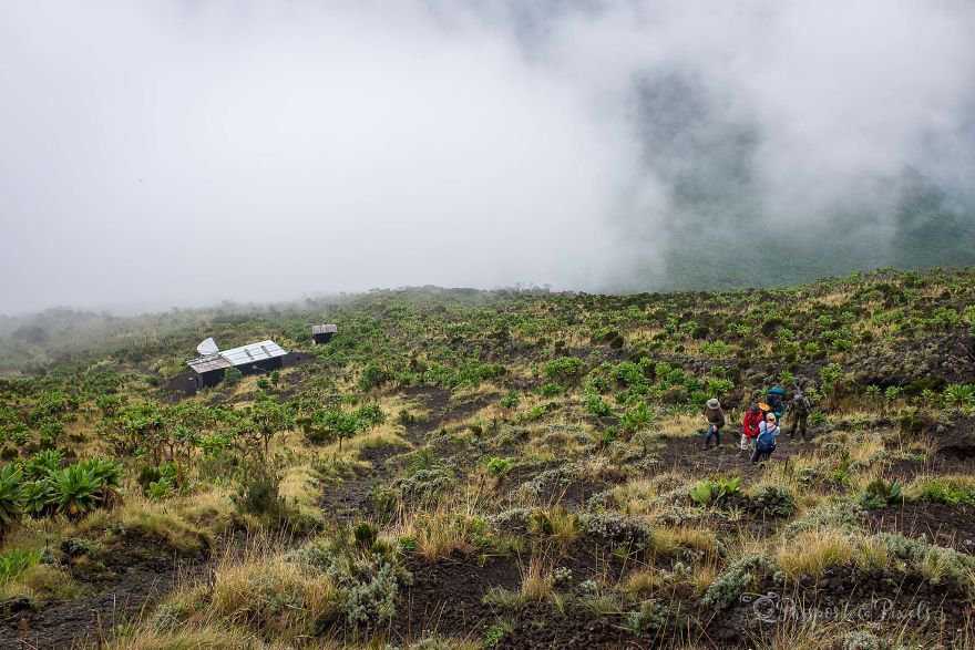探秘刚果活火山口 近距离体验炙热的岩浆