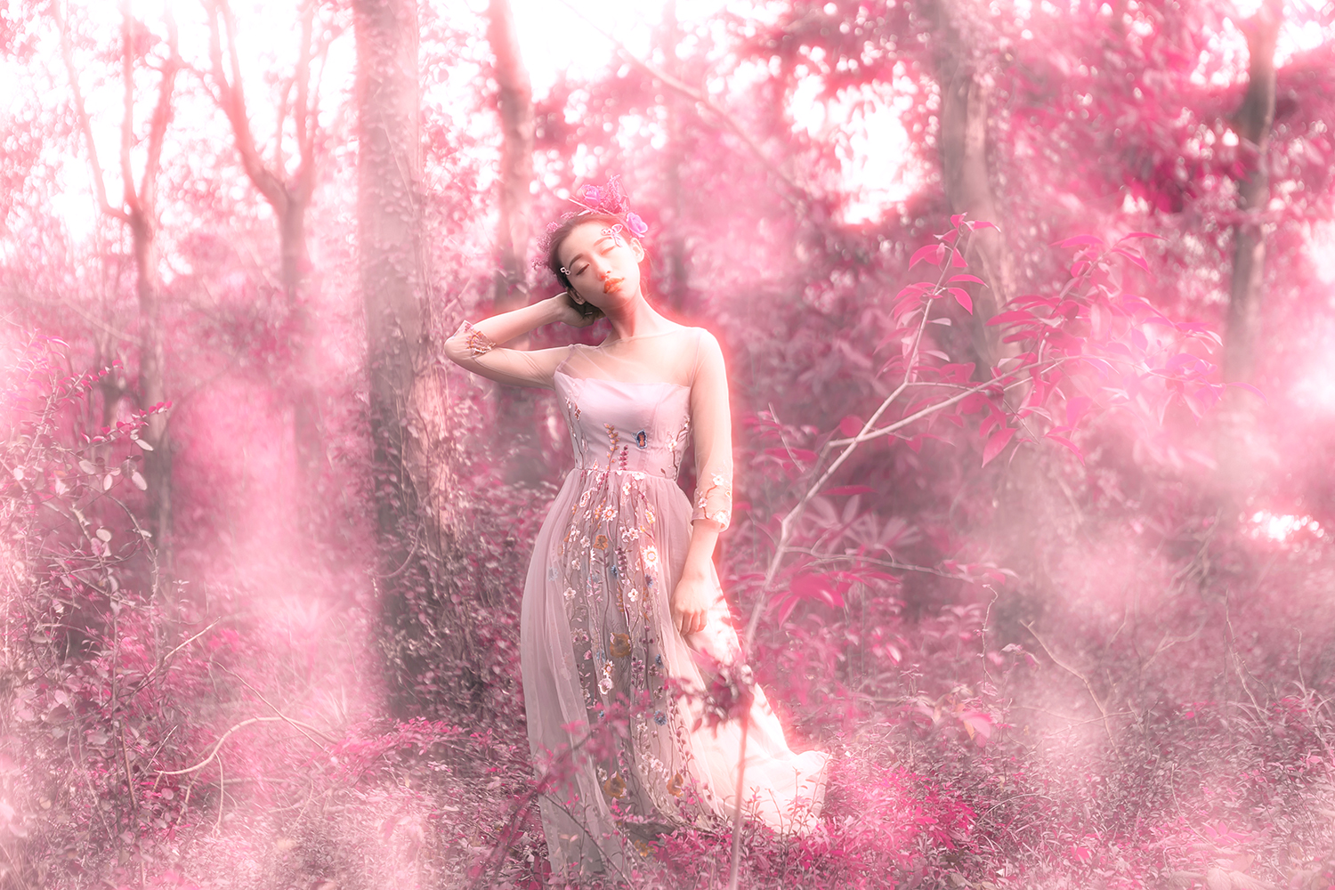 PINK FOREST